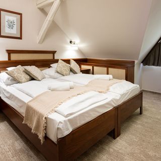 Hotel Kardosfa Zselickisfalud (5)