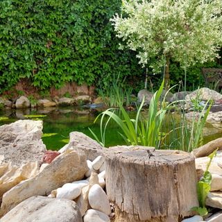 Oázis Panzió Nagykanizsa*** (3)