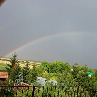 Aranypatkó Fogadó Étterem Győrújbarát (4)
