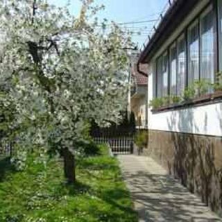 Papp Apartmanház Zalakaros (4)