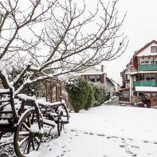 Kaktusz Villa Hévíz (2)