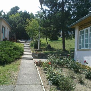 Borsatanya Fonyód (3)