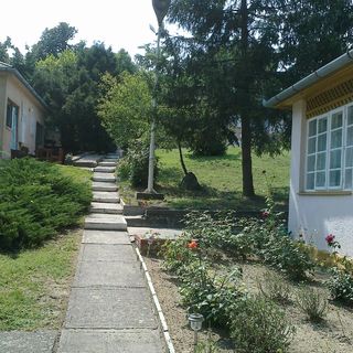 Borsatanya Fonyód (3)