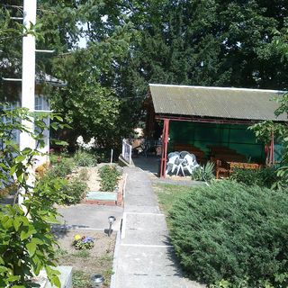 Borsatanya Fonyód (2)