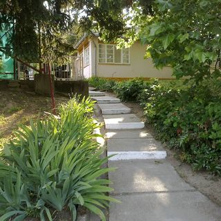 Borsatanya Fonyód (4)