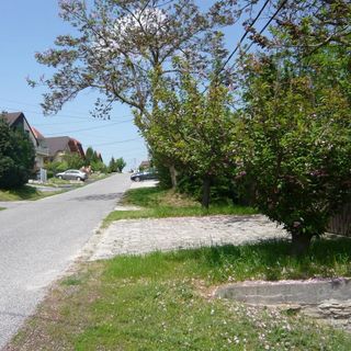 Andrea Apartman Alsópáhok (3)