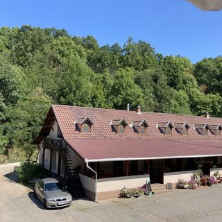 Gesztenyés Apartman Parád (5)