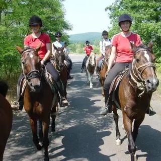 Capári Lovasiskola Sümeg (3)