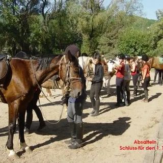 Capári Lovasiskola Sümeg (4)