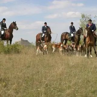 Capári Lovasiskola Sümeg (5)