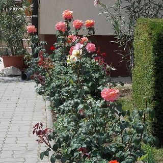 Judit Vendégház Hévíz (4)