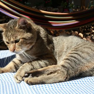 Mária Háza Vendégház Szár (4)