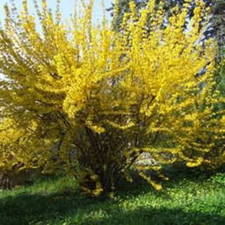 Prima Pihenő Miskolctapolca (4)