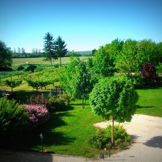 Napvirág Vendégház Zsira (4)