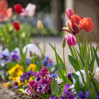 Anyukám Kuckója Zalakaros (5)