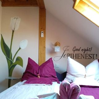 Margaréta Panzió Sárospatak (4)