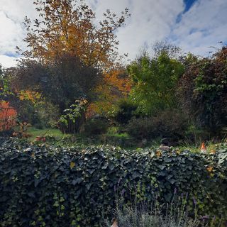 Mátrai Vendégház Mátraderecske (3)