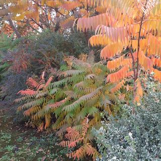 Mátrai Vendégház Mátraderecske (5)