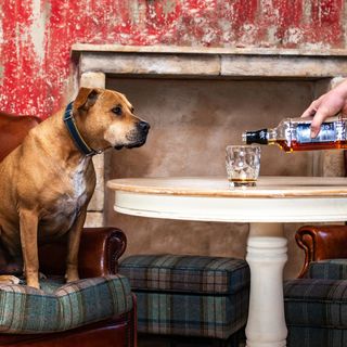 Petneházy Aparthotel Budapest (3)