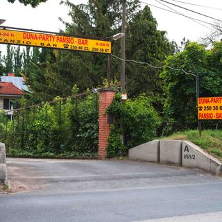 Duna-Party Pansio Budapest (5)