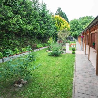 Duna-Party Pansio Budapest (3)