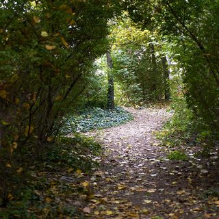 Teleki-Wattay Kastély Pomáz (5)