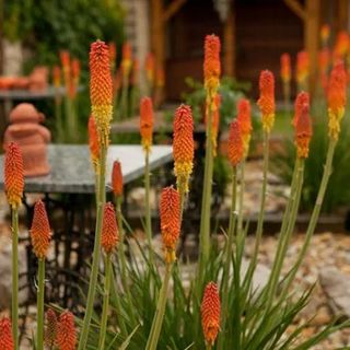 La Villa Pergola Szentgotthárd (4)