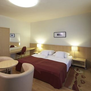 Hotel Laterum Pécs (3)