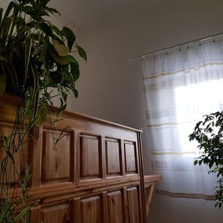 Mátyás Panzió Szeged (5)