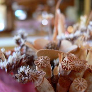 Janika Panzió Vonyarcvashegy (3)