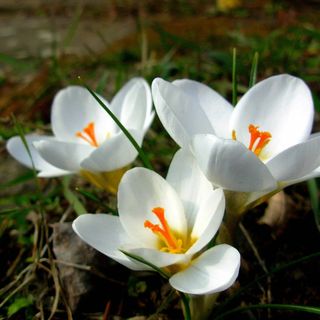 Garten Vendégház Eger (4)