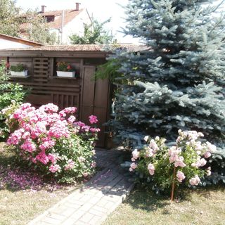 Ráchegy Apartman Eger (5)