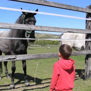 Aliz Villa Szilvásvárad (3)