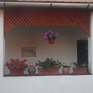 Bekecs Vendégház Nagyvisnyó (4)