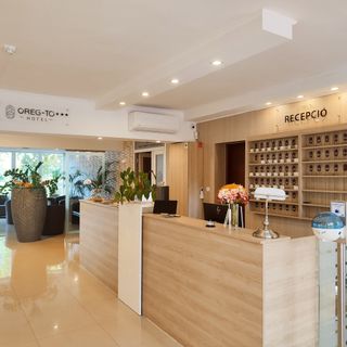 Öreg-tó Hotel Tata (5)