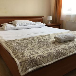 Hotel Ferihegy Budapest (5)