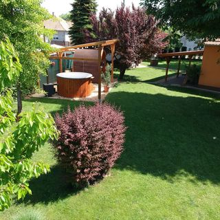 Diófa Apartmanok Tiszafüred (5)