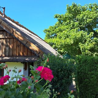 Puszta Vendégházak Tiszafüred (4)