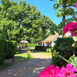 Puszta Vendégházak Tiszafüred (5)