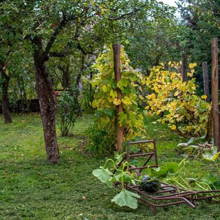 Kövirózsa Vendégház Drégelypalánk (2)