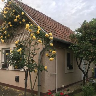 Rózsakert Vendégház Egerszalók (2)