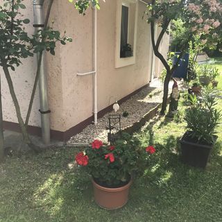 Rózsakert Vendégház Egerszalók (4)