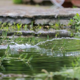 Keresztkút Erdei Pihenőhely Kőszeg (5)