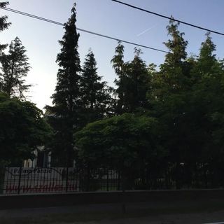 Pálma Panzió Siófok (3)