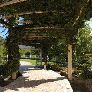 Judit Panzió Tapolca (4)