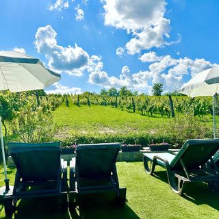 Szent Orbán Panzió Zalakaros - Kutyabarát apartmanok (3)