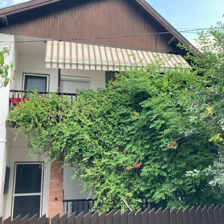 Gyúrós Vendégház Tótkomlós (2)