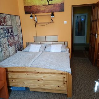 Munkácsy Apartman Gyula (4)