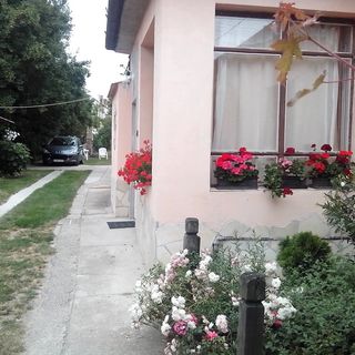 Anonim Apartman Balatonkenese (4)