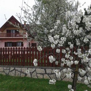 Tóth Nyaraló Balatongyörök (4)